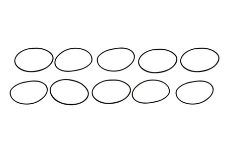 Filter O-Rings (10)