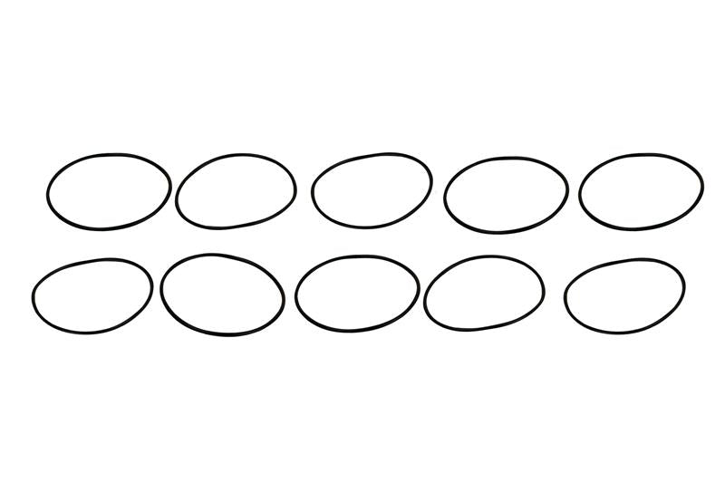 Filter O-Rings (10)