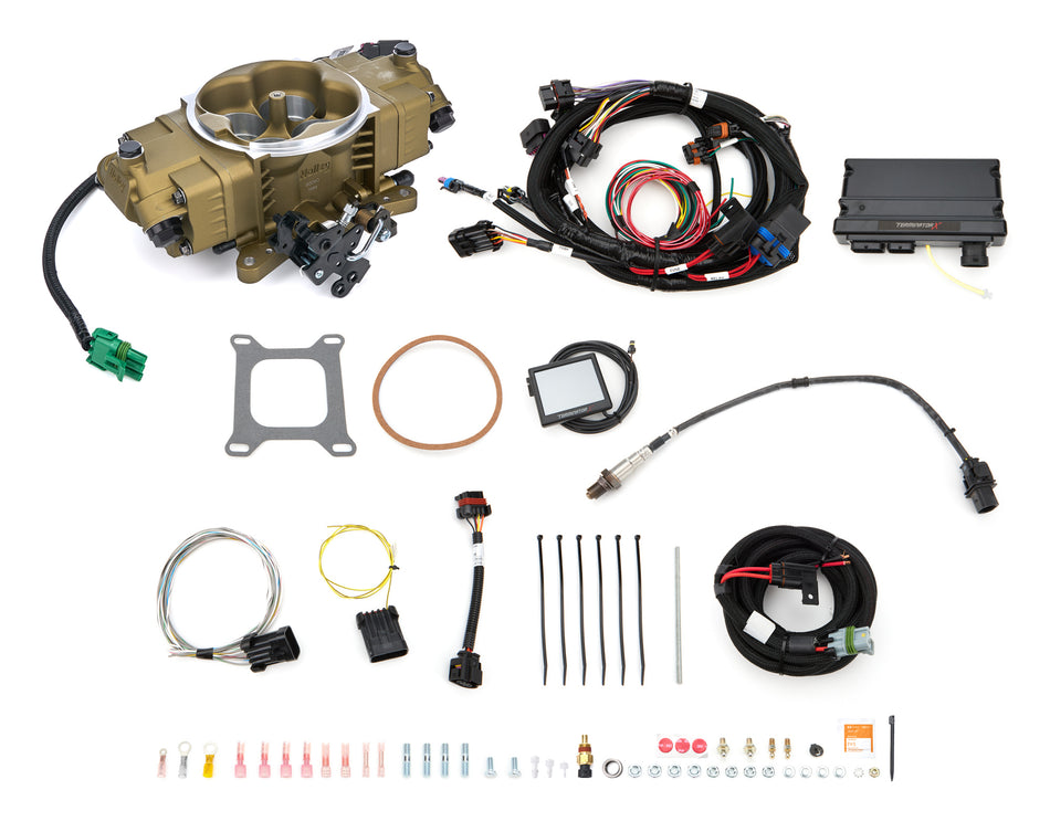 Terninator X Stealth EFI System 4150 - Gold