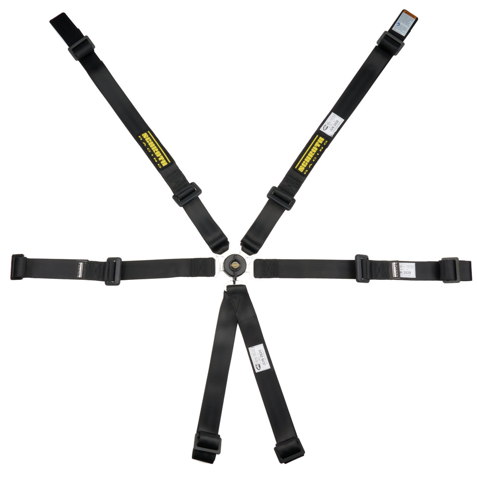 6pt Harness Profi 2x2 Pull-Up Lap