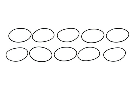 Filter O-Rings (10)