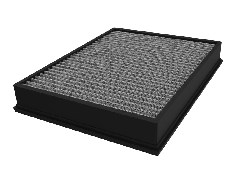 Dynamic Air Scoop w/Pro Dry S Filter